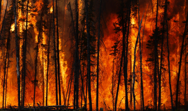 The Rise of Wildfire-Related Air Pollution