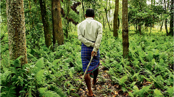 Serious Irregularities Found in Relocation of Talewadi Forest Dwellers