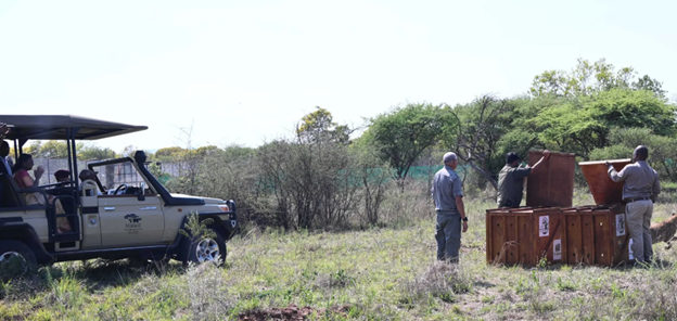 India, Botswana strengthen ties through wildlife conservation move