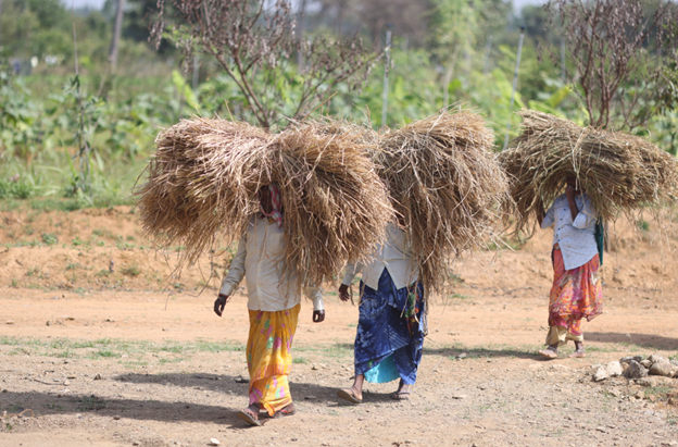 Farmers wait as land denotification delayed