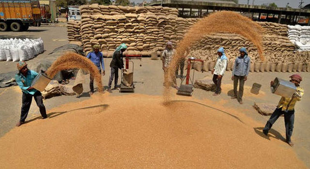 Centre raises wheat MSP to ₹2,585, sets rabi target