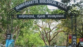 Solar Power Plant to Be Set Up Soon in Bannerghatta Biological Park
