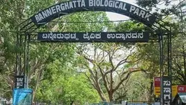 Solar Power Plant to Be Set Up Soon in Bannerghatta Biological Park