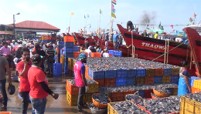 Mangaluru harbour buzzes as deep-sea fishing resumes after monsoon ban