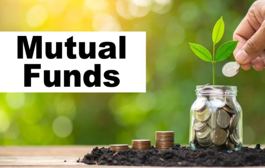 MF equity investments double in November to Rs 43,465 crore