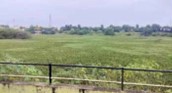 Kempkeri Lake Revamp Stalled for Years, Residents Grow Impatient