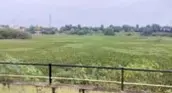 Kempkeri Lake Revamp Stalled for Years, Residents Grow Impatient