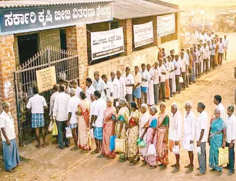 Farmers wait overnight outside seed distribution centres