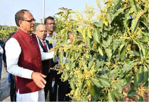 Extend shelf life of fruits, speed up trials of new varieties, Union Agriculture Minister to scientists