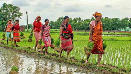 Bengal orders job cards for migrant workers’ families
