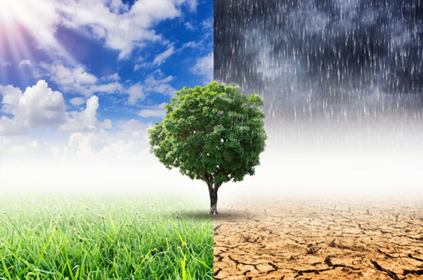 Climate Change and Global Warming