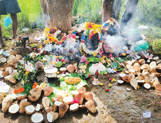 Villagers Offer 101 Coconuts to Udbhava Basavanna
