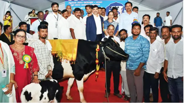 Anekal cow yields 38 litres of milk, bags Ist place