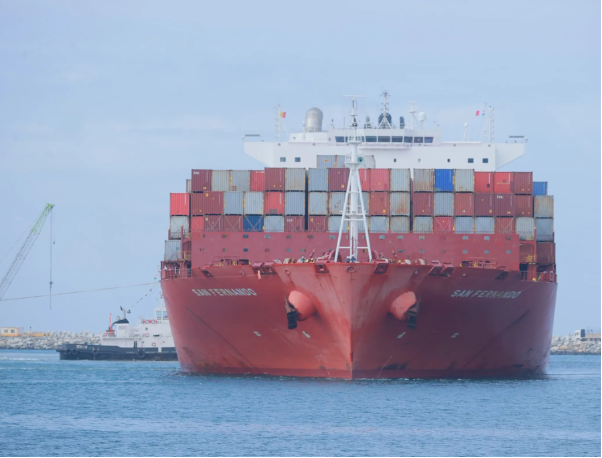 Bharat Container Shipping Line Aims to Cut Foreign Dependence, Boost Jobs and Trade: Report