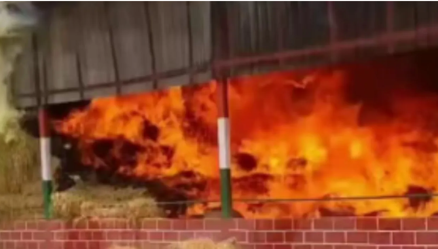 Bengaluru Gaushala fire not accidental, miscreants suspected behind blaze