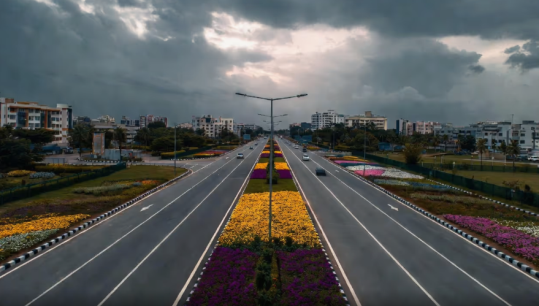 Bloom Avenue project to bring year-round floral splendour to Bengaluru streets