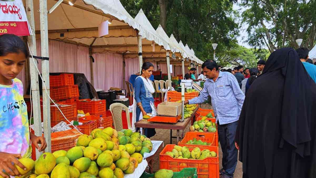 Sweet and staggered: Bengaluru to host multiple mango melas this season