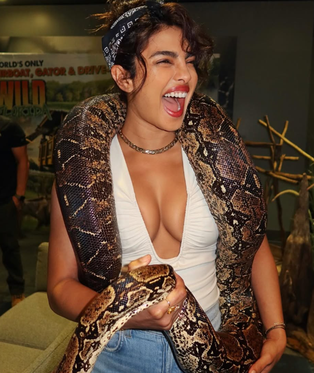 Priyanka Chopra shows love for giant snakes
