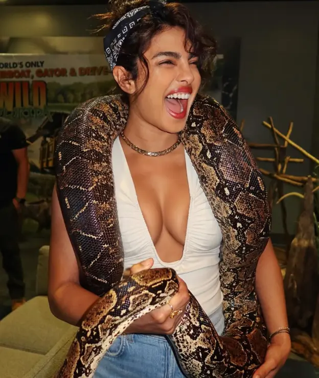 Priyanka Chopra shows love for giant snakes