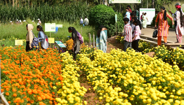 District Administration to Assist UAS in Organising Krishi Mela