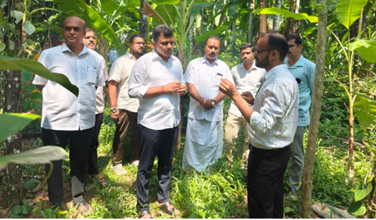 MP reviews action against arecanut leaf spot disease in Sullia
