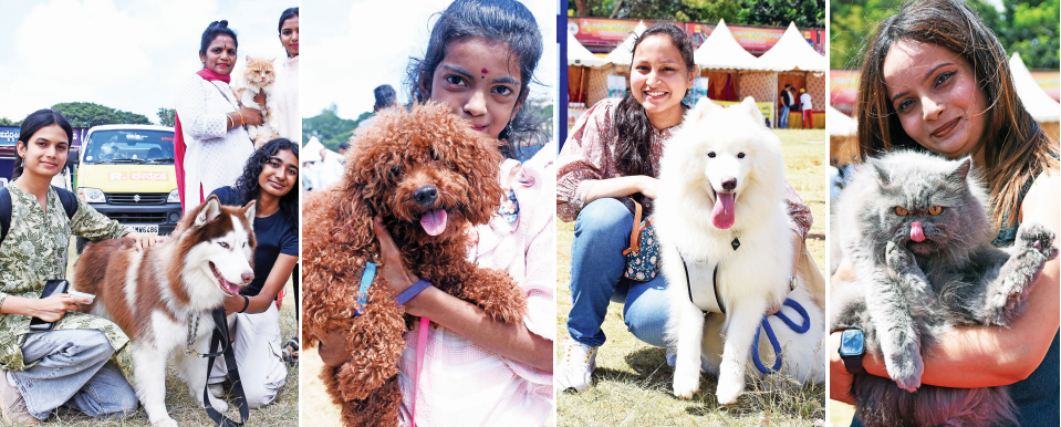 Cute Pets Captivate the Audience