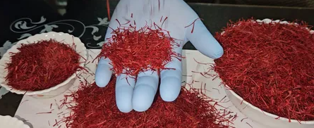 Kashmiri Saffron Gift to Putin Brings Cheer