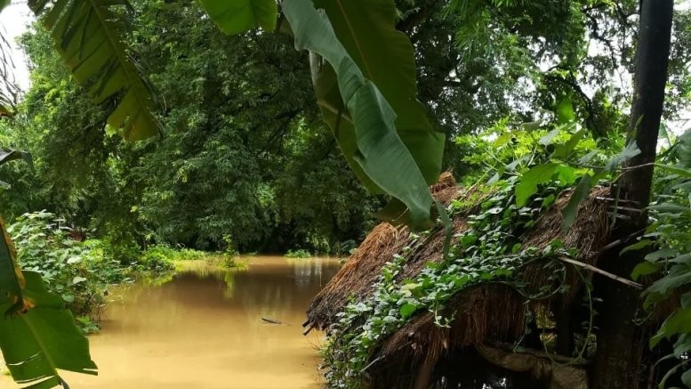 IMD warns Odisha of heavy rainfall, floods