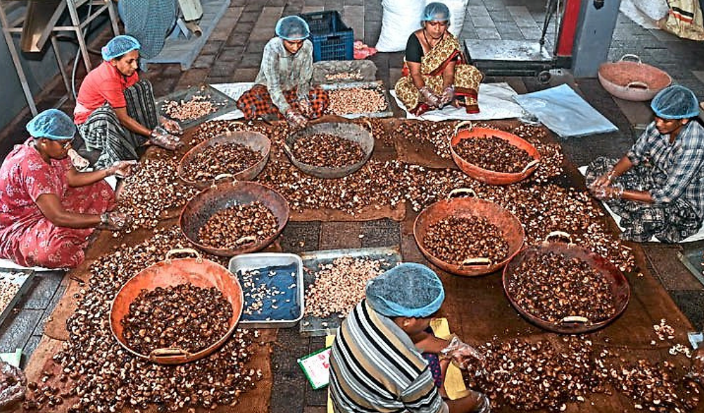 Middle East tensions add strain to cashew trade