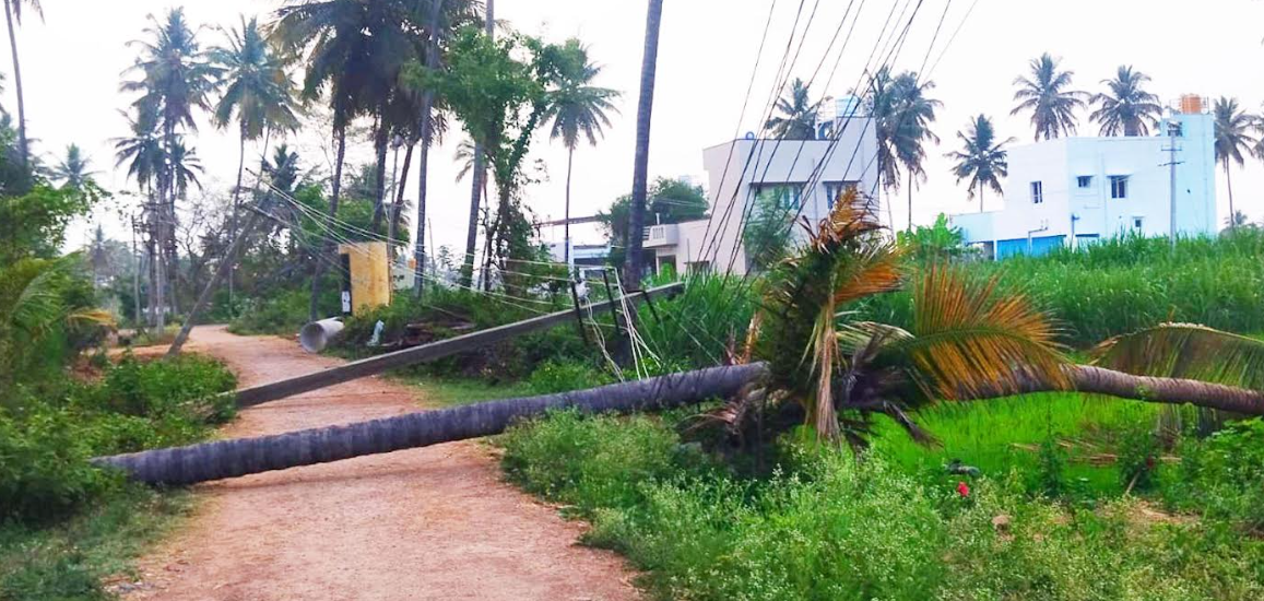 Storm damages poles, causes power cut