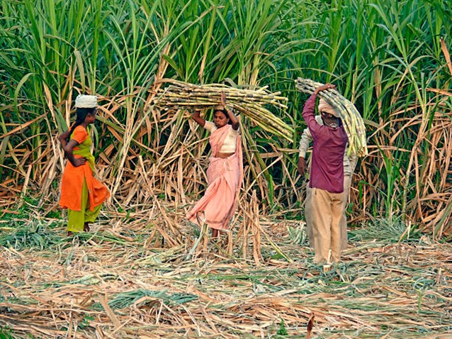 DC Urges Sugar Mills to Ensure Timely Payments to Farmers