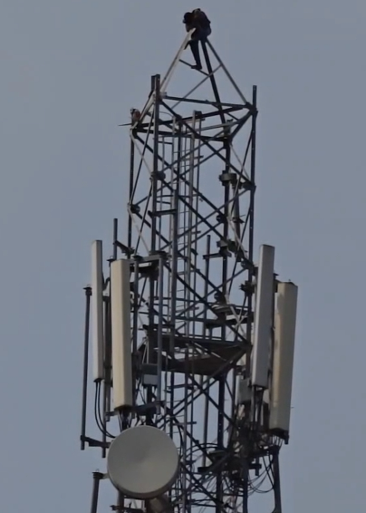 Man climbs mobile tower demanding liquor, rescued by police