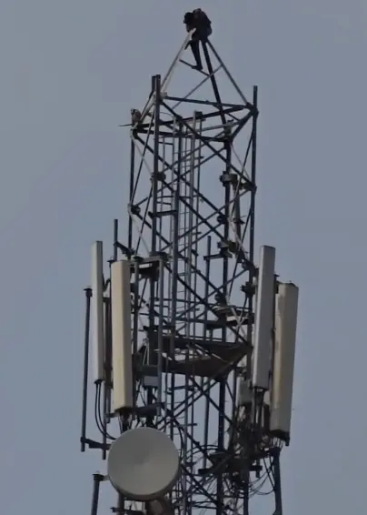 Man climbs mobile tower demanding liquor, rescued by police