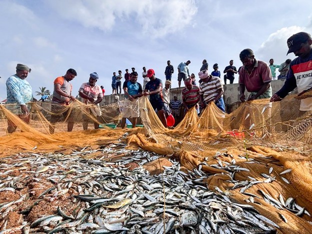 India Becomes World’s Second-Largest Fish Producer