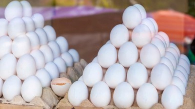 Health Dept orders egg tests amid carcinogen rumour