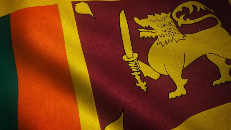 Sri Lanka provincial polls delayed pending 2018 delimitation