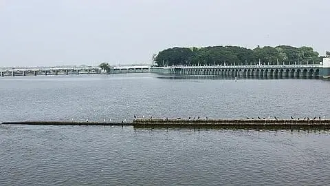 Water storage in TN’s Cauvery delta tanks increases