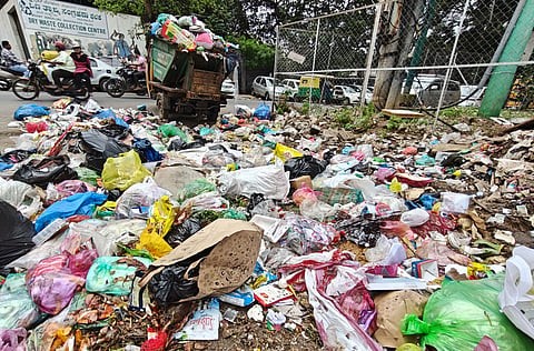 Bulk waste rules only on paper, illegal collection on the ground found