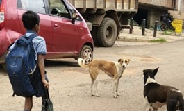 HDMC’s Dog Adoption Drive: 48 Homes Found in 15 Days