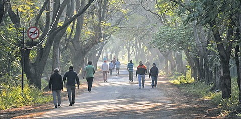 Warm Nights Surprise Bengaluru, IMD Says Winter Chill Will Return Soon