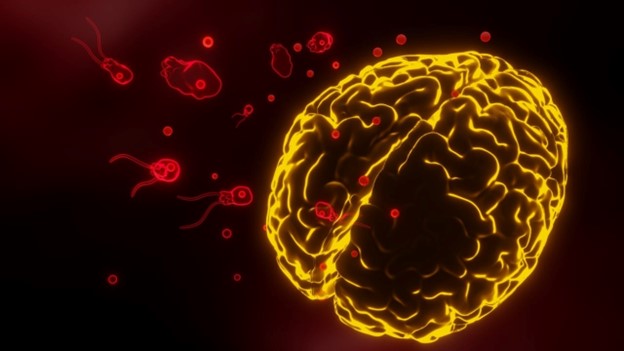 Kerala records sixth brain-eating infection death