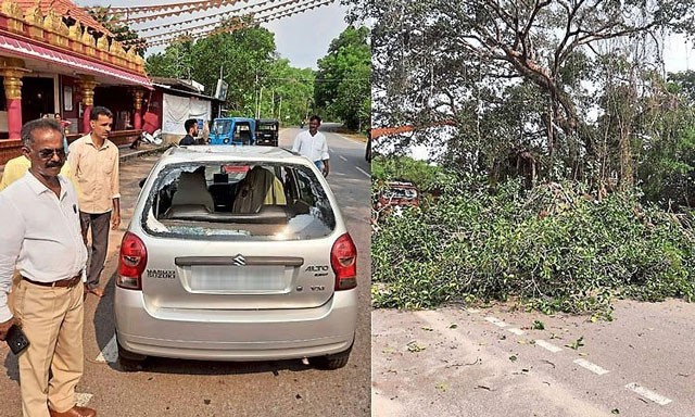 Forest officer narrowly escapes death from tree