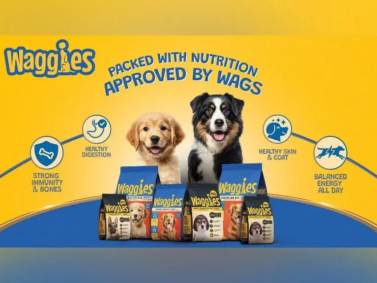 RCPL launches ‘Waggies’ offering affordable pet nutrition