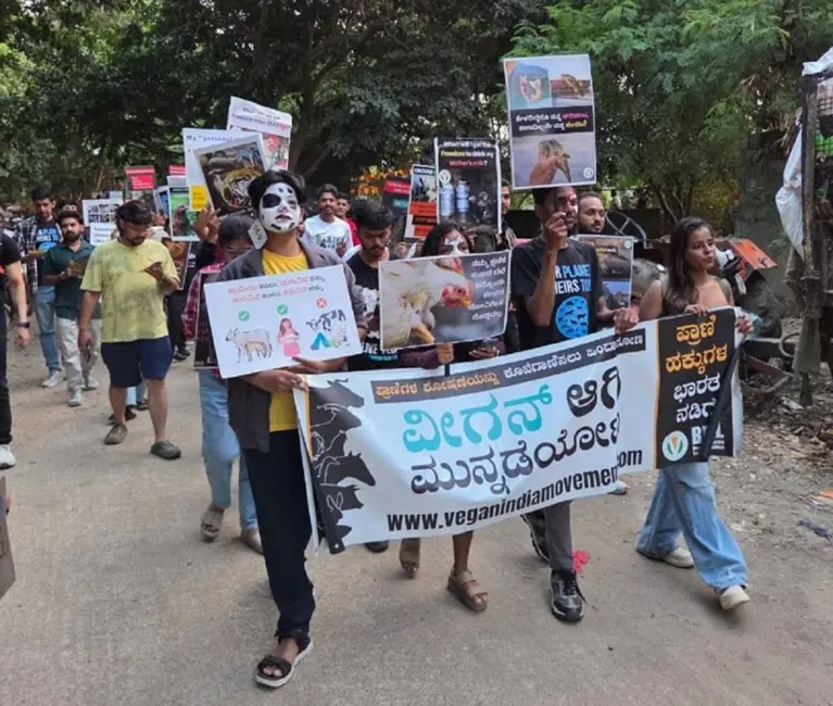 Activists Hold Campaign to Prevent Cruelty to Animals