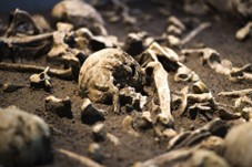 Missing man’s skeleton found after two years in Bengaluru