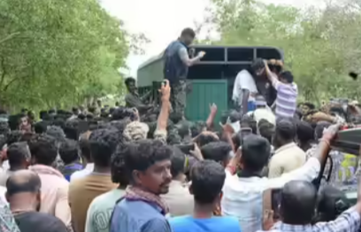Injured Tigress Captured Near Bandipur After Attacking Farmer; Shifted to Bannerghatta