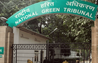 NGT seeks fresh report on forest encroachment