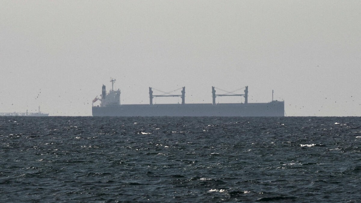 UAE Signals Support For Force To Reopen Hormuz Strait