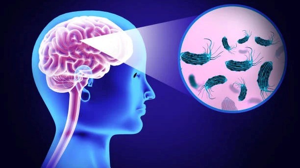 Brain Fever Deaths