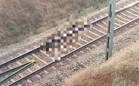 Woman Commits Suicide by Jumping in Front of Train Near Chitradurga APMC